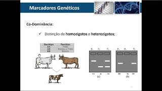 Marcadores Genéticos  Parte 2 [upl. by Evangelist]