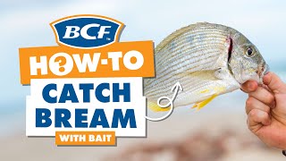 Catch Bream with Bait  BCF How To [upl. by Oleta]