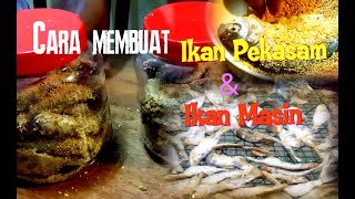 Cara membuat ikan Pekasam dan Ikan Masin [upl. by Gladdy]