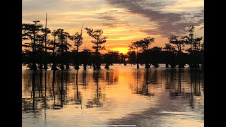 ReelFoot Lake  Bluegill Fishing Resort Reviews and Catfishing [upl. by Ydiarf57]