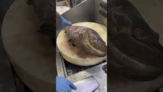 Grouper fish big grouper fish cleeningcuttingshorts [upl. by Nylarat]