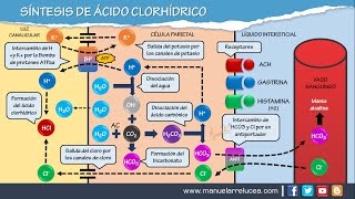 SÍNTESIS DE ÁCIDO CLORHÍDRICO HCL [upl. by Campagna]