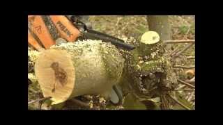 Pellenc Selion Battery Powered Chain Saw [upl. by Vivi]