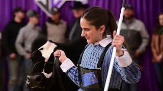 Cattlemens Congress 2023  Steer Show Highlight [upl. by Hilda]