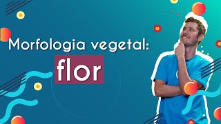 Morfologia vegetal flor  Brasil Escola [upl. by Kimmel11]