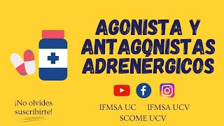 AGONISTAS Y ANTAGONISTAS ADRENÉRGICOS [upl. by Edbert912]