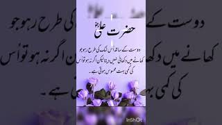 Farmane AliDosti beautifulIslamicurdu voiceeffects فرمان علی दोसती shots love [upl. by Attenna]