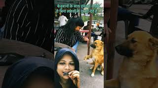 Priceless moment doglover dog humanity short video🥰 [upl. by Ytirahc679]