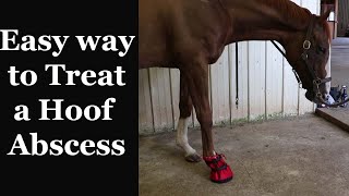 How to SOAK and WRAP your Horses Hoof Abscess [upl. by Aiem]