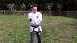 Pinan shodan shito ryu kata [upl. by Buffy]