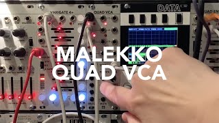 MALEKKO  QUAD VCA [upl. by Ahsirtal]