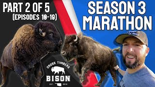 Cross Timbers Bison SEASON 3 MARATHON Part 2 of 5 [upl. by Eicirtap]