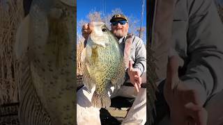 Colorado catch and release state record crappie caught on a Trokar hook crappiefishing shorts [upl. by Lucey]