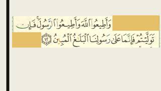 Surah Taghaabun AyahVerse 12  Mutual Loss and Gain  Repeated over and over [upl. by Philippine]