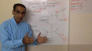 Amphiprotic vs Amphoteric IB Chemistry [upl. by Hcardahs145]