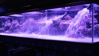 800 Aquarium pt2 Aquascape  Floating Shelf [upl. by Lanevuj]