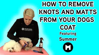 How to remove knots and matts from your dogs coat [upl. by Oiralednac549]