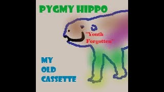 Pygmy Hippo  Youth Forgotten [upl. by Lered]