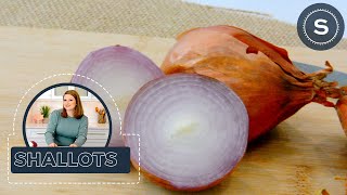 What are Shallots The Difference Between Onion and Shallots [upl. by Nibaj]