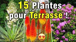 15 Plantes à Installer en POT ou en PLEINE TERRE  TerrasseBalcon [upl. by Tony218]