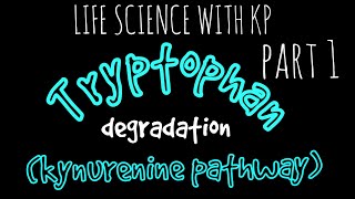 TRYPTOPHANkynurenine pathway Degradation Vlog 12 [upl. by Conah]