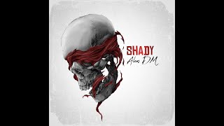 SHADY x Alem DM  Official Audio [upl. by Festus]