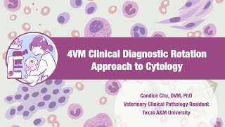 【Veterinary Cytology】Approach to Cytology [upl. by Sigismondo]