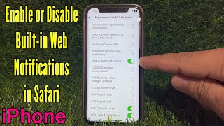 How to Enable or Disable Built in Web Notifications in Safari on iPhone X [upl. by Nitsreik329]