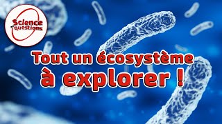 Microbiote  le monde secret de vos intestins  Science En Questions [upl. by Yvehc347]