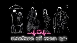 සැරයටියෙන් අපි යනෙන තුරා serayatiyen api yanena thura song music sinhalasongs [upl. by Tlihcox]