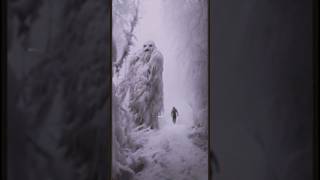 Skier realizes he past a Yeti not a pine tree creepy giant nightmare monster ai yeti [upl. by Darwen]