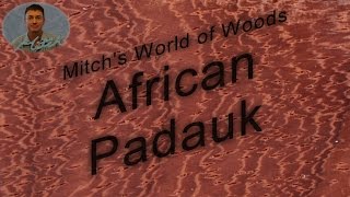 African Padauk  Mitchs World of Woods [upl. by Nelda]