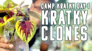 Camp Kratky Day 1 Cloning For Beginners The Best Starter Hydroponic Garden [upl. by Airbmac]