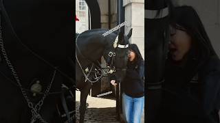 IT BIT MY ARM Epic Moments Horse Guards [upl. by Harriott]