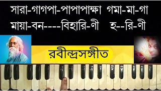 Mayabono Bihariniমায়াবন বিহারিণী হরিণী   Rabindra sangeet  Harmonium Lesson By Trisha [upl. by Bayer1]