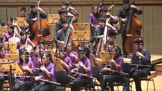 Nobody Wonder Girls by Marsiling Chinese Orchestra [upl. by Sherm927]