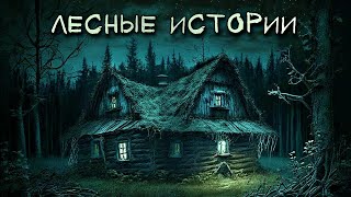 ЛЕСНЫЕ ИСТОРИИ про Нечисть из Леса Страшные Истории 5в1 [upl. by Albrecht]