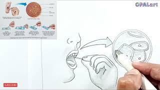 9th FB Biology Diagram 14cells from human cheek [upl. by Botzow]