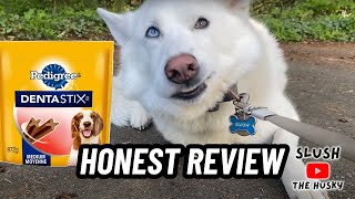 Pedigree Dentastix  Honest Dog Review [upl. by Hiller563]