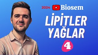 Lipitler  39 Günde TYT Biyoloji Kampı4  9 Sınıf Biyoloji Kampı4 yks2024 [upl. by Reube]