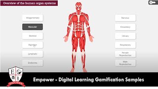 Gamification Learning [upl. by Ettezus]