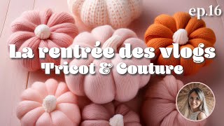 ✏️ Rentrée des Vlogs ep16  Petites avancée et jolies laines 🧶 [upl. by Grevera]