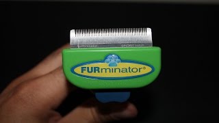 FURminator Dog Short Hair Deshedding Tool Review Small [upl. by Fayina]