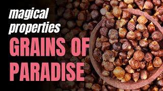 Magical Properties of Grains of Paradise [upl. by Prentiss]