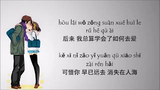 Hou Lai 后来  Rene Liu 刘若英  Lyric Pin Yin [upl. by Gisella]