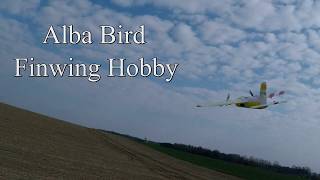 Alba Bird  Finwing Hobby  Maidenflight [upl. by Atiz]