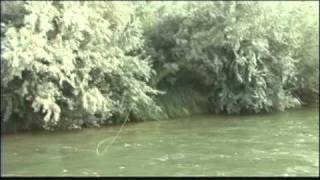 Soaring Eagle Lodge Dry Fly amp Streamer Fishing on the San Juan River [upl. by Etyam]