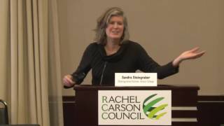 Sandra Steingraber at Rachel Carson Council 113016 [upl. by Hosbein512]