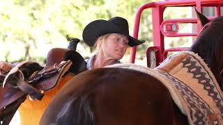 Hip 31  Badgering Sioux  2019 Brown Gelding  Consigned by Muleshoe Ranch [upl. by Dani185]