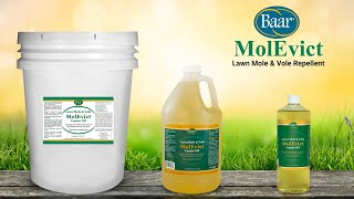 MolEvict Lawn Mole amp Vole Repellent [upl. by Kriste]